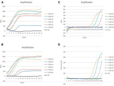 RAP: A Novel Approach to the Rapid and Highly Sensitive Detection of Respiratory Viruses